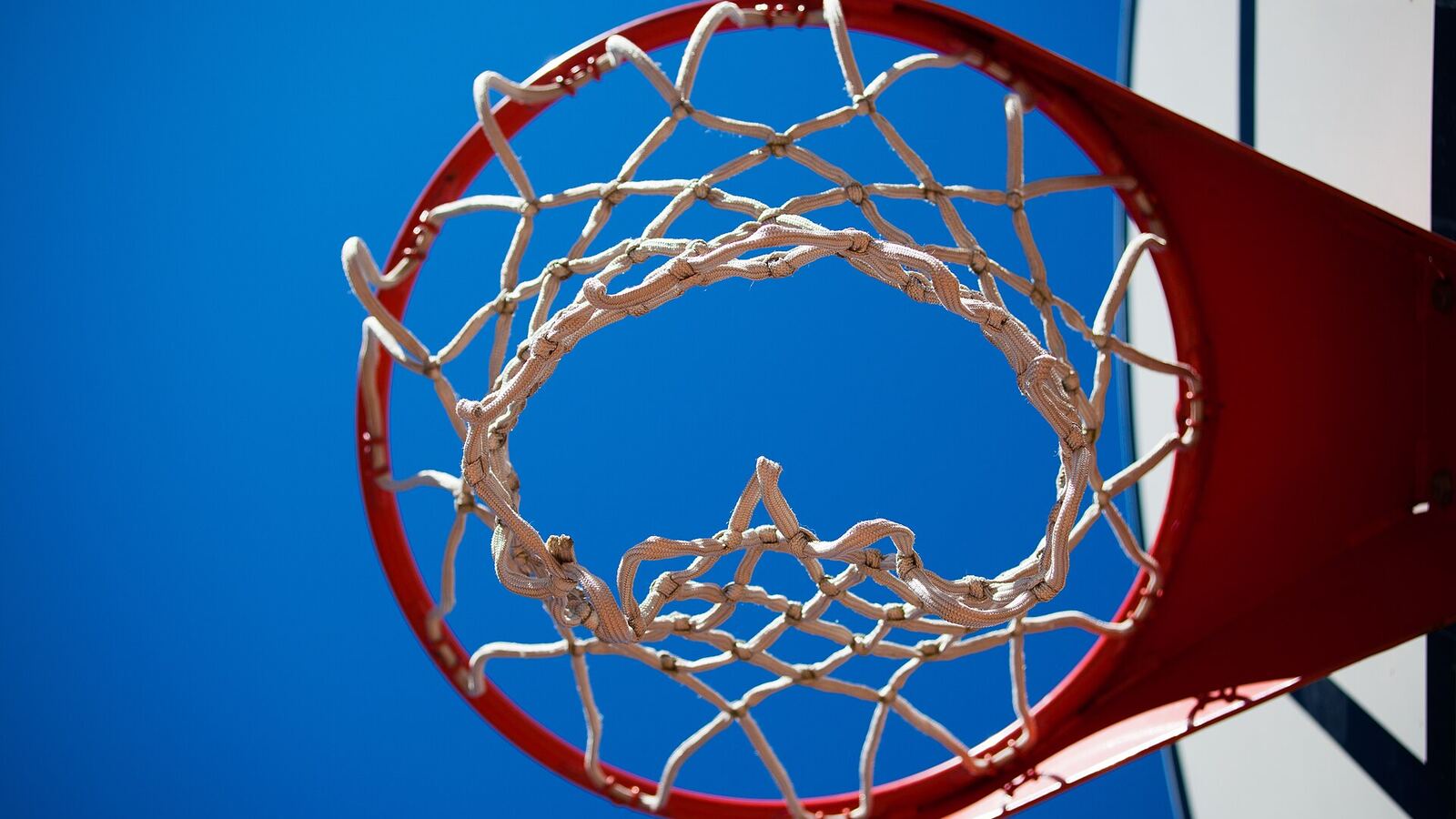 Basketball target practice & nets