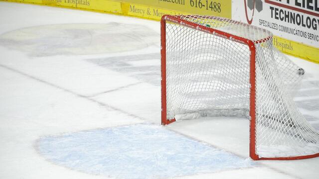 Hockey shooting targets