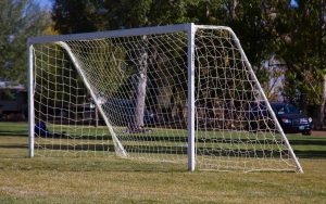 The economics of buying sports target nets 12 The economics of buying sports target nets